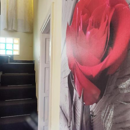 Casa De Sus Villa บราชอฟ ภายนอก รูปภาพ